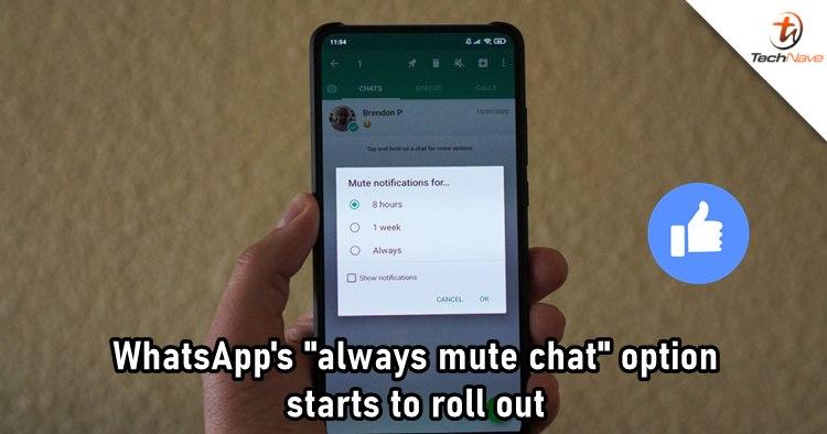 whatsapp官方手机版-WhatsApp 官方手机版：我的社交神器，隐私保护超棒