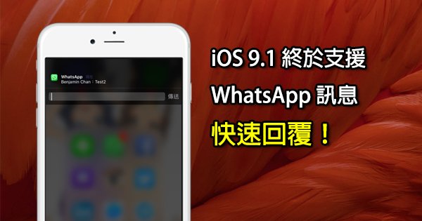 whatsapp官网版中文下载-这个超级无敌好用的WhatsApp官网版中文下载，这一切都不再是问题