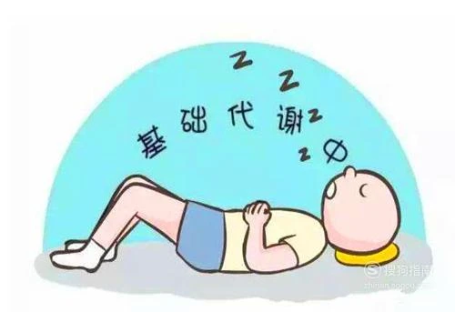 健身游戏软件_健身大全app_健身手机小游戏大全下载
