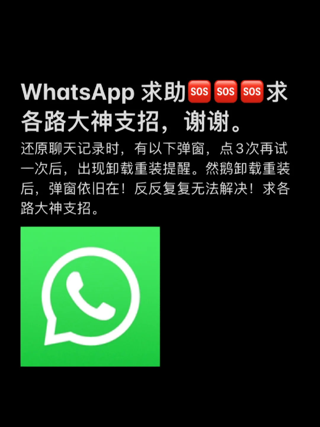 whatsapp官方下载中文版-WhatsApp 官方下载中文版，让你的聊天体验瞬间升级
