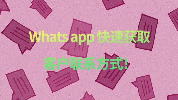 whatsapp官方下载-WhatsApp 官方下载：打开全球聊天狂欢的大门