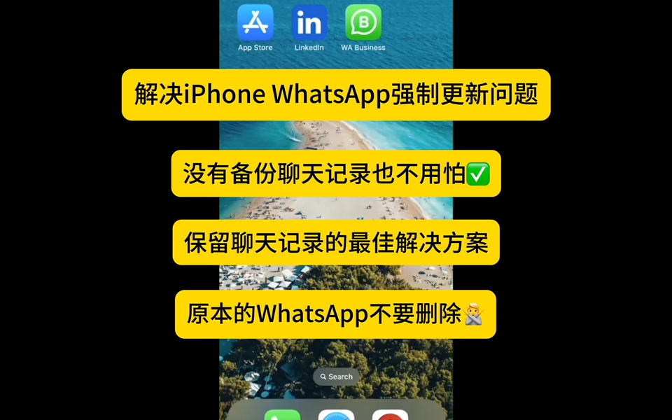 whatsapp官方下载中文版-WhatsApp 官方下载中文版：免费通讯工具，步骤简单，沟通无界