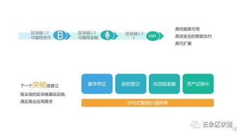本体区块链 本体区块链